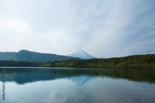 Fototapeta Naklejka Na Ścianę i Meble -  西湖と富士山