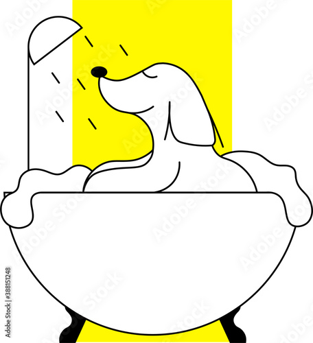 dog illustration grooming bath  photo