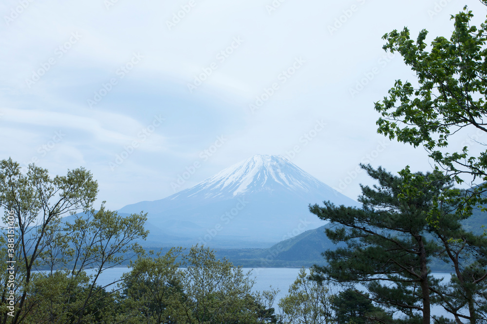 Obraz premium 本栖湖からの富士山