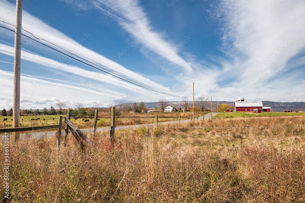 Fototapeta premium Country Road in Ulster County