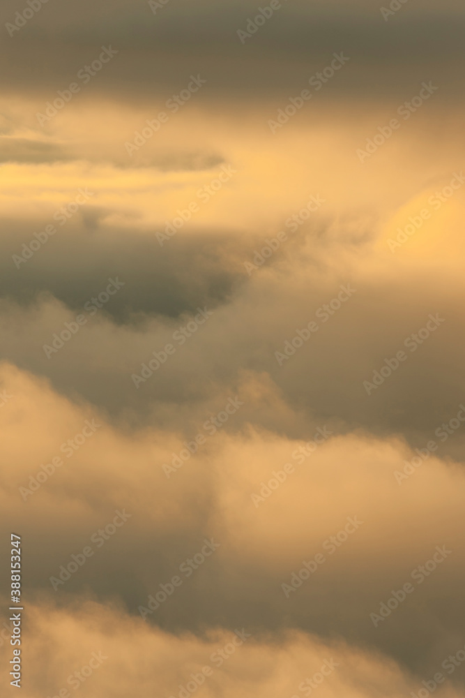 雲海 雲海