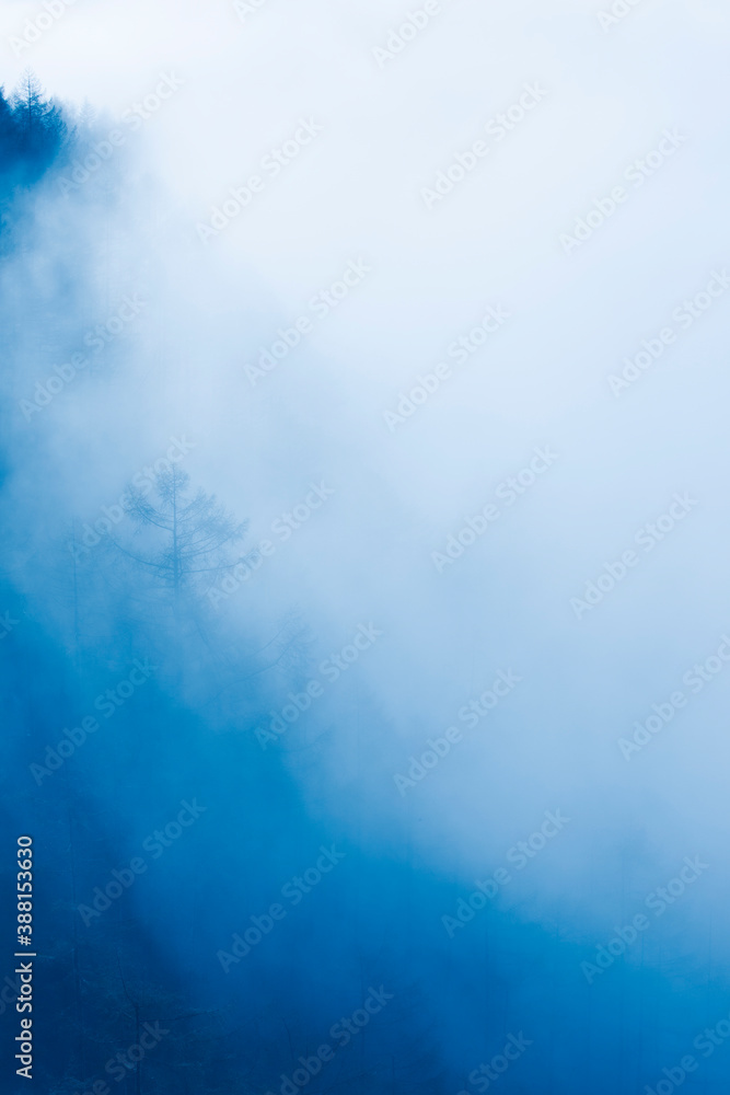 Naklejka premium 霧の森
