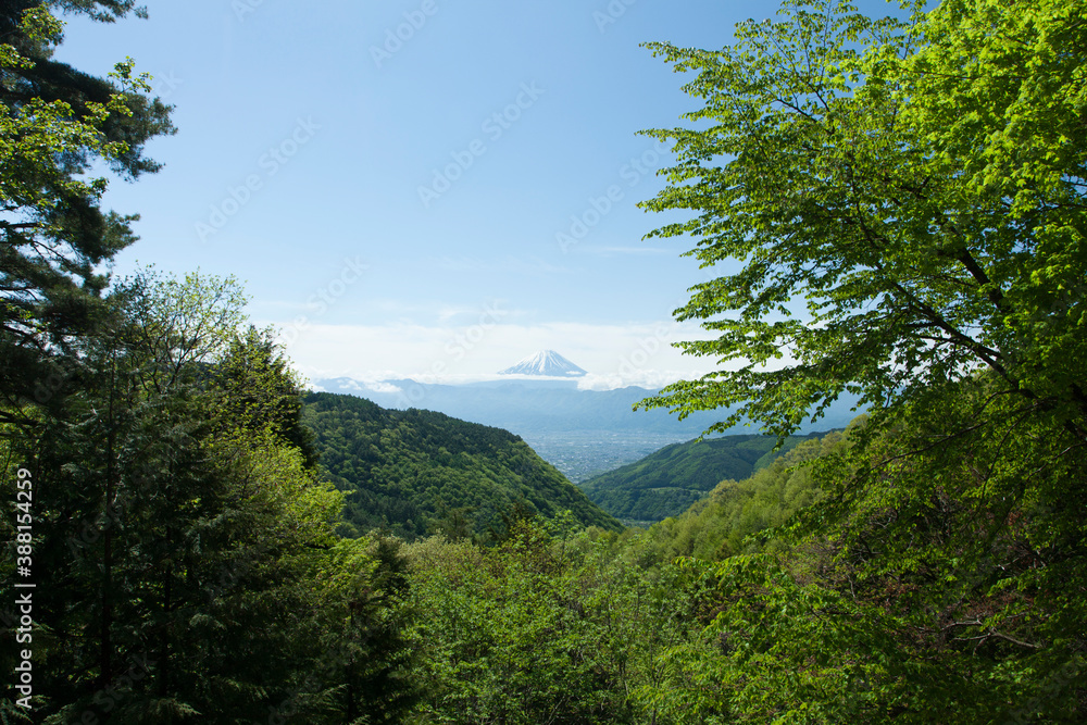 甘利山からの富士山