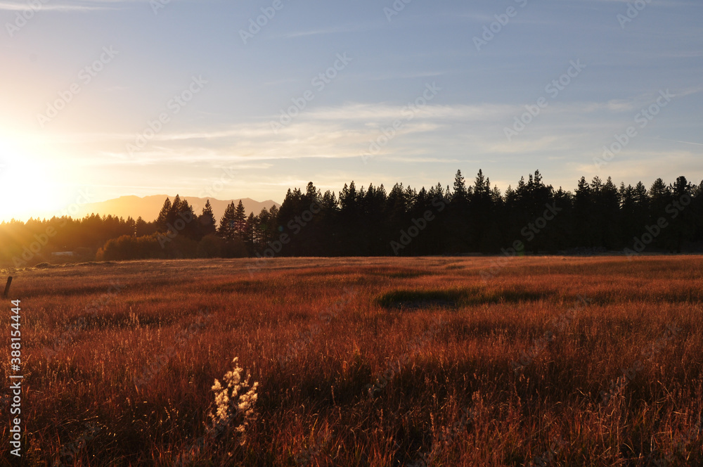 Scenic landscape view of a meadow in the warm sunlight just before sunset