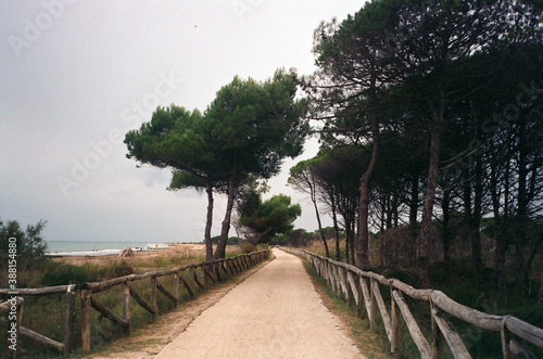 A beautiful film photos from the beach in winter