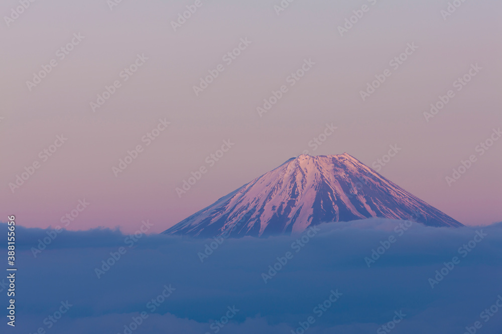 甘利山からの富士山