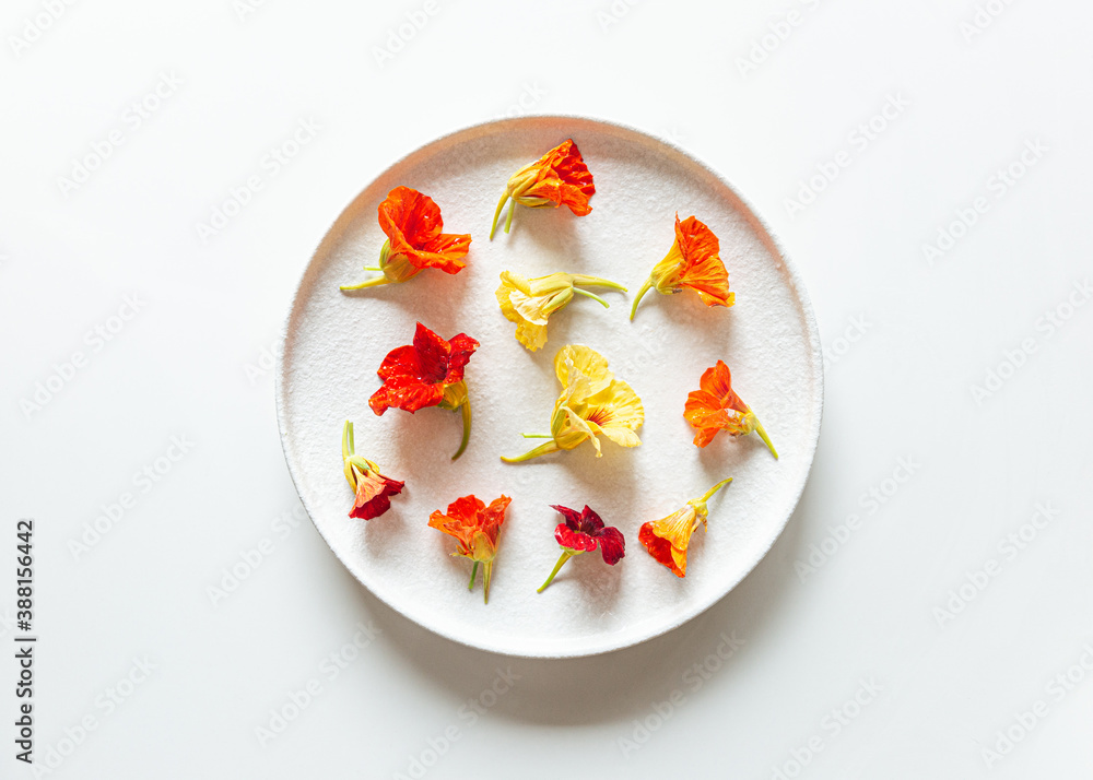 Orange and red nasturtiums on white plate Orange and red nasturtiums on white plate