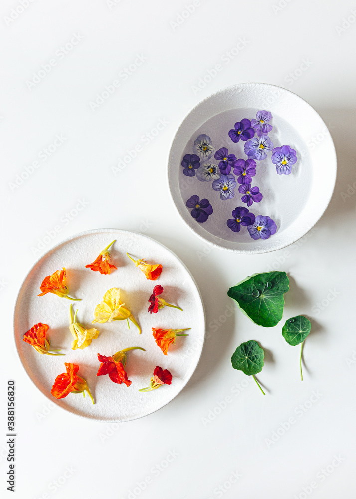 Still life of Nasturtiums and violets Still life of Nasturtiums and violets