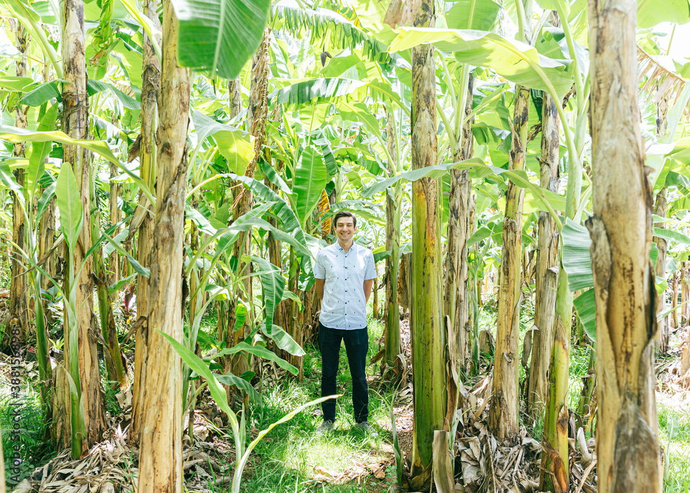 Smiling australian male standing in banana field Smiling australian male standing in banana field