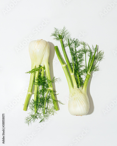 fresh whole fennel bulb on white background