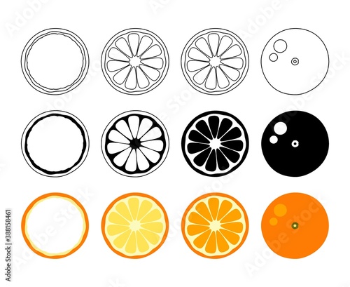 Orange tangerine grapefruit lemon lime on a white background. Vector illustration of summer fruits and citrus. Citrus icons silhouettes pictograms. Tropical fruit. Orange in parts. Orange slices. Line