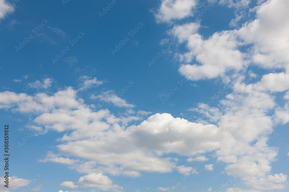 Fototapeta premium 快晴の空