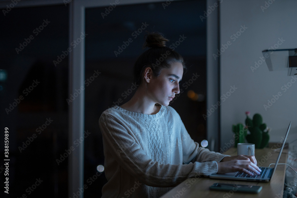 Woman Working On A Laptop In Her Home Woman Working On A Laptop In Her Home