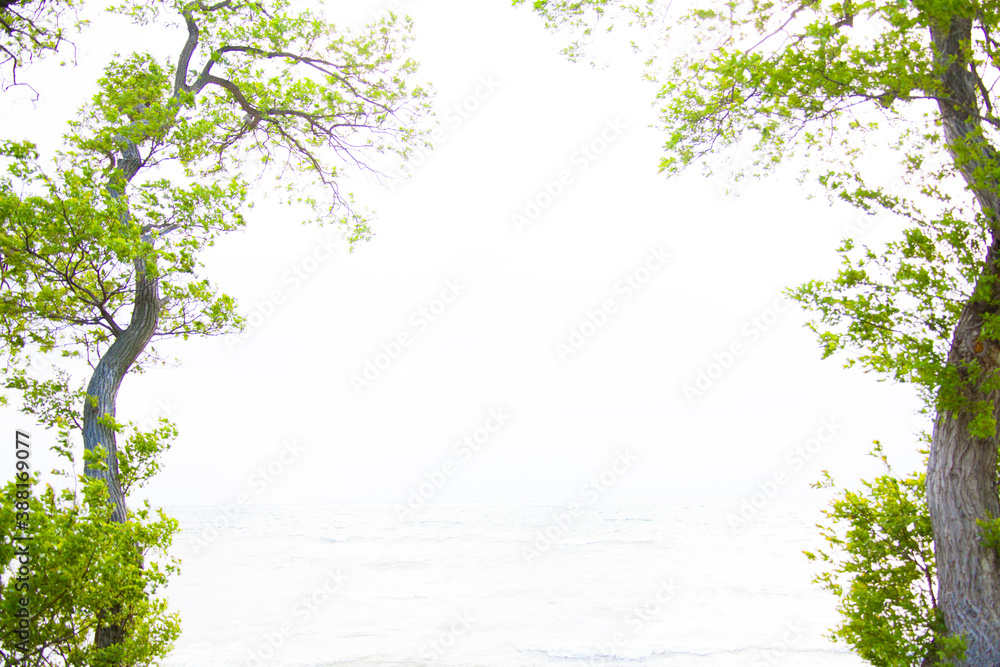 Obraz premium 湖の辺の道