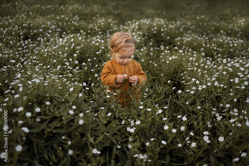 Fototapeta Naklejka Na Ścianę i Meble -  child playing in the flowers