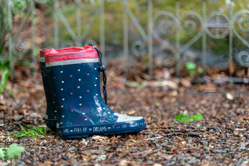 Fototapeta Naklejka Na Ścianę i Meble -  A pair of forgotten children's rubber boots stands in the rain in the forest