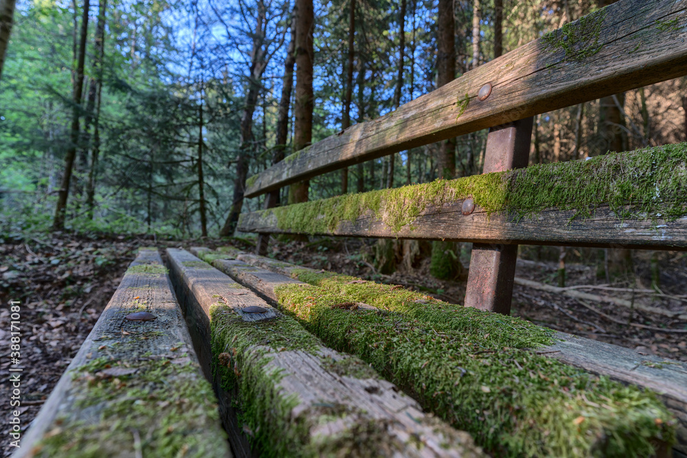 old moss-covered bench in the forest