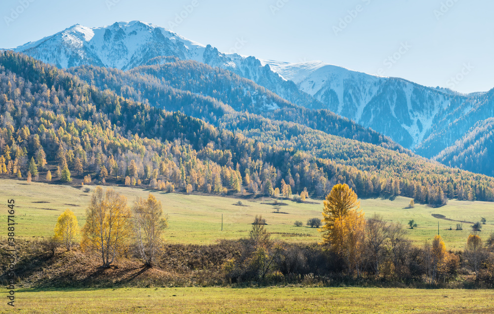 Mountain valley, autumn view. Snow-capped peaks in a blue haze.