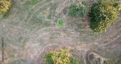 Green feelds by drone from top at sunset. photo