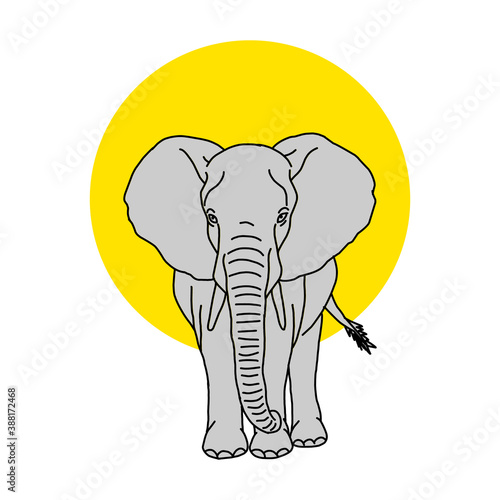 Coloring book for kids and adults decorative cartoon elephant.