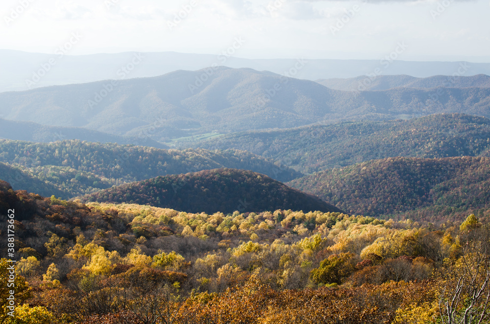 View of the autumn foliage from Bearfence Mountain in Shenandoah National Park