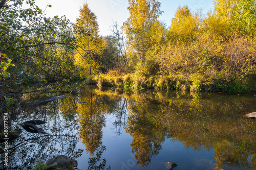 Autumn forest is reflected in the water of river