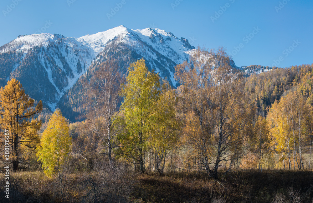 Mountain valley, autumn view. Snow-capped peaks in a blue haze.