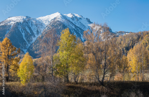 Mountain valley  autumn view. Snow-capped peaks in a blue haze.