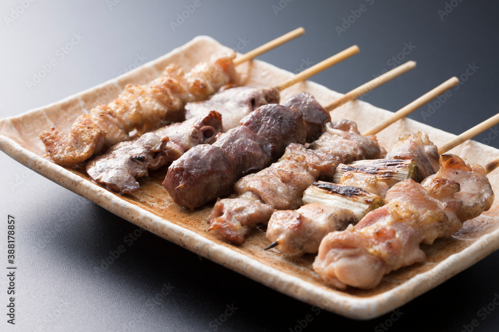 Εκτύπωση καμβά 焼き鳥盛り合わせ