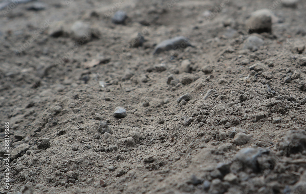 soil in the ground soil in the ground