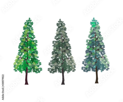 fir tree vector collections isolated on white. pine tree or spruce tree realistic vector illustrations.