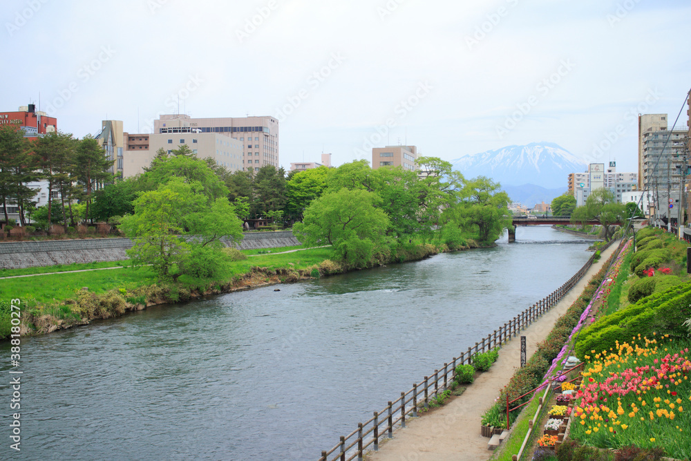 Obraz premium 盛岡市街北上川
