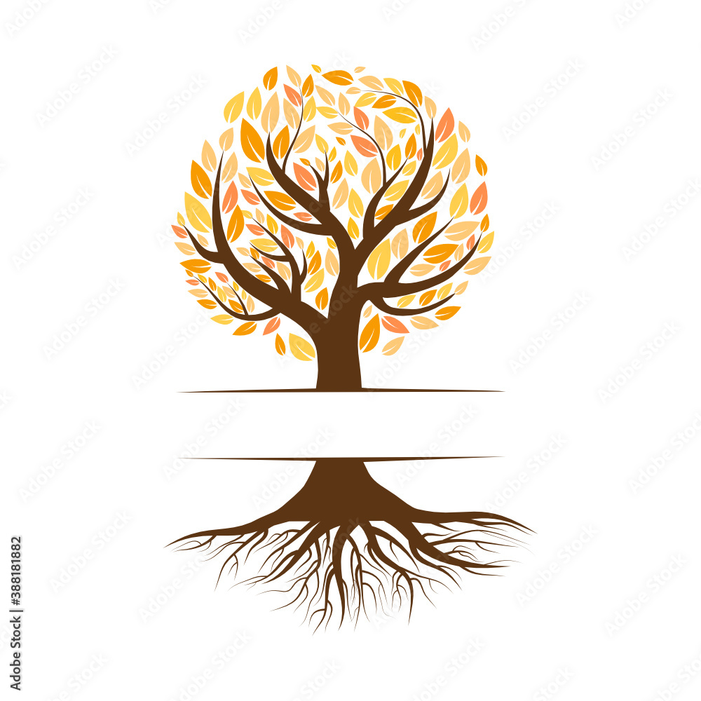 Naklejka premium Tree with roots and colorful leaves isolated on white background.