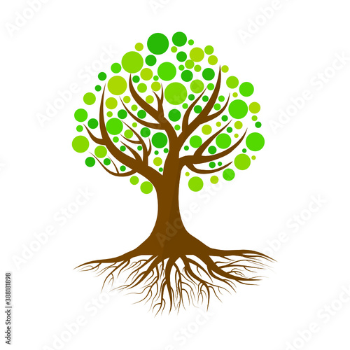 Tree with roots and green leaves isolated on white background.