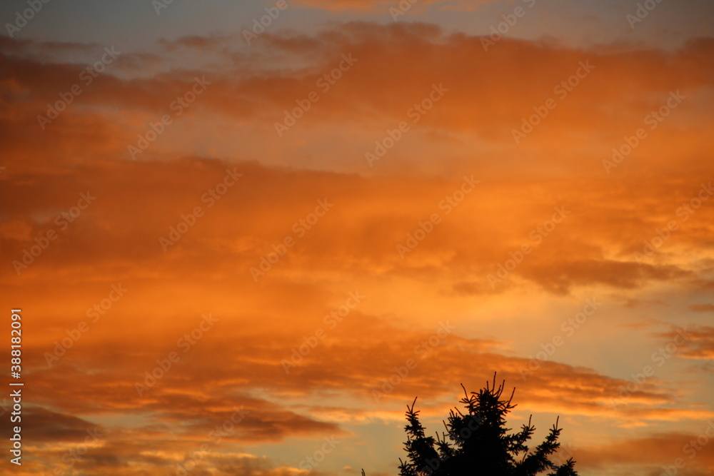 Orange Sunset, Edmonton, Alberta