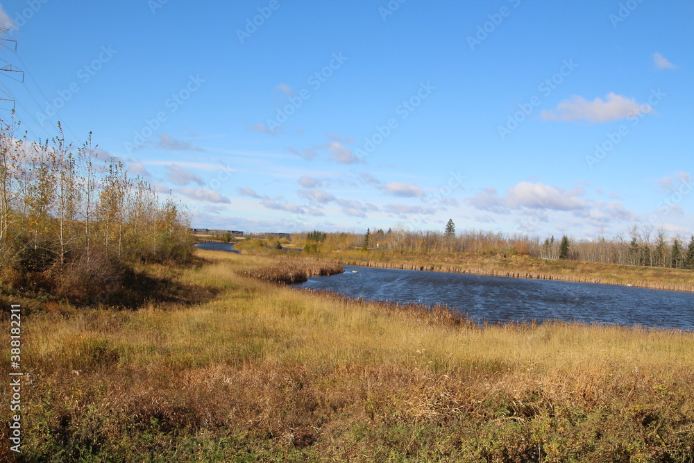 October Afternoon, Pylypow Wetlands, Edmonton, Alberta October Afternoon, Pylypow Wetlands, Edmonton, Alberta
