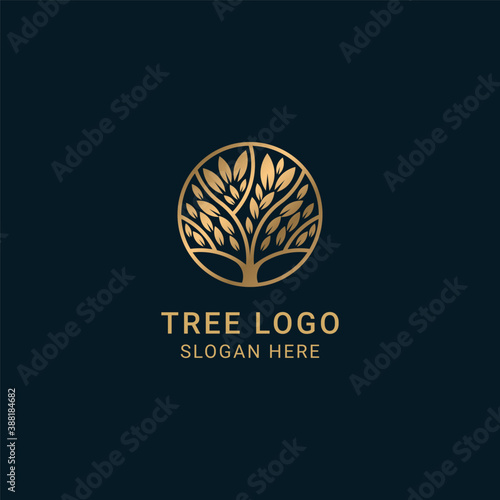 Tree vector icon. Nature trees vector illustration logo design.