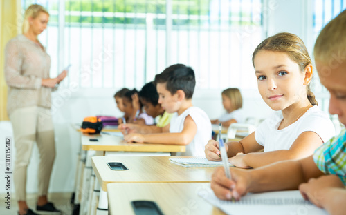 Portrait of cheerful preteen girl elementary school student looking at camera during lesson