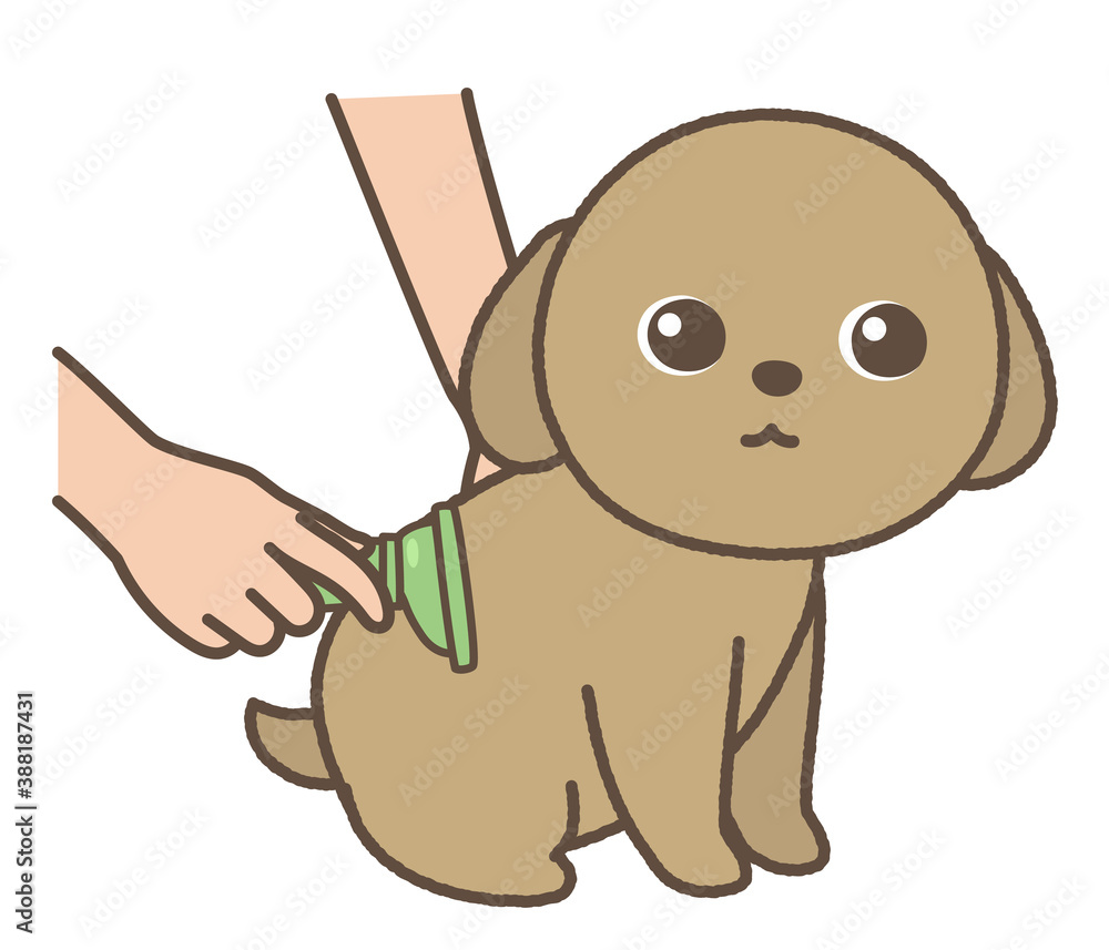 Obraz premium ブラッシングをされる子犬