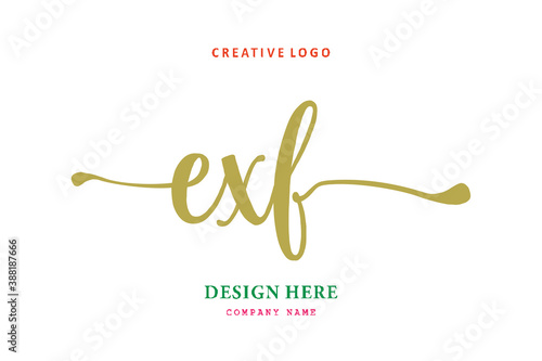 EXF lettering logo is simple, easy to understand and authoritative photo