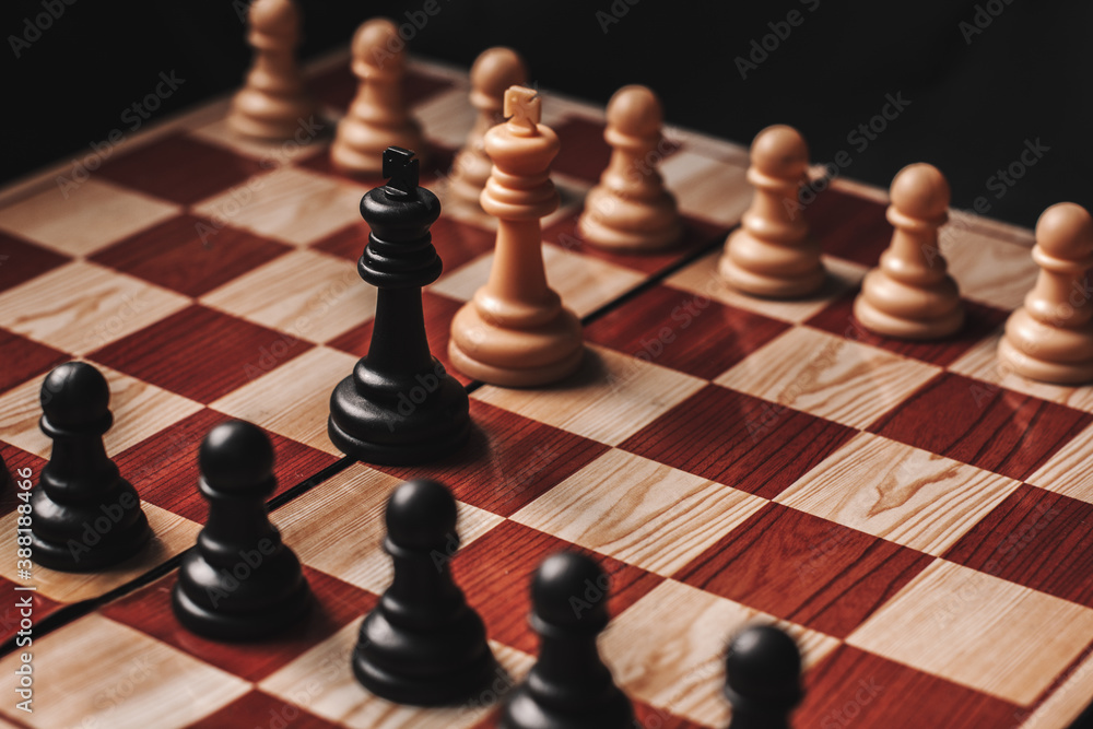 White king against black king face to face on chessboard, battle of two armies