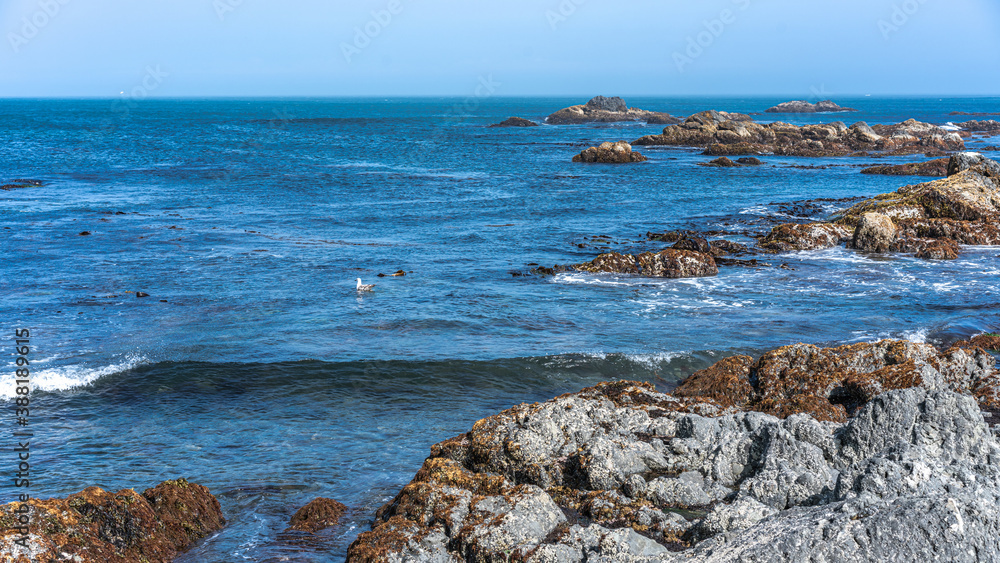 Sea Stone View