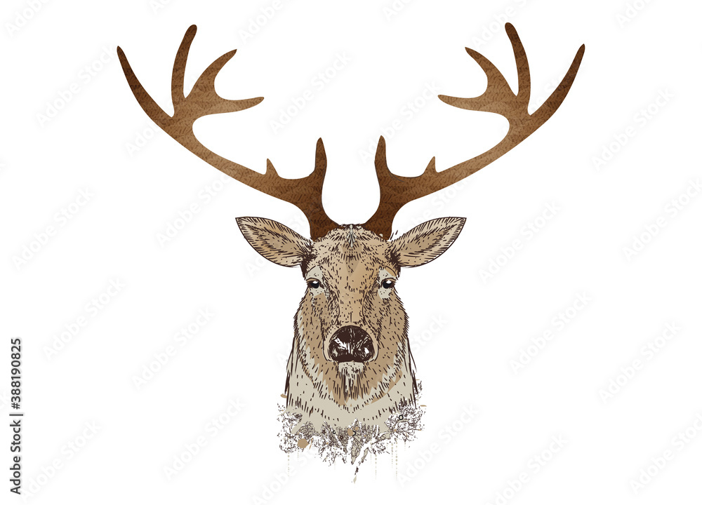 stolzer Hirsch Kopf mit prächtigem Geweih
stolzer Hirsch Kopf mit prächtigem Geweih