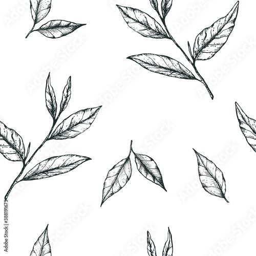 Vector illustration seamless pattern with simple hand-drawn tea leaves. Design for fabric, stationery or wrapping paper for tea, matcha, packaging, label