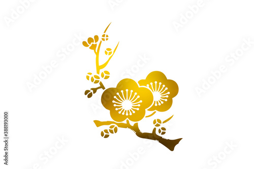 梅