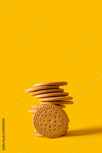Marie biscuits stuck on bright yellow background. Modern cookies concept. photo