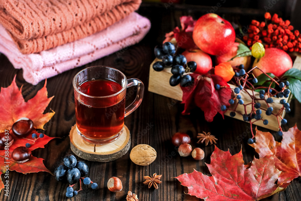 autumn composition with a mug of tea, autumn leaves, fruit and nuts, on the background of folded sweaters