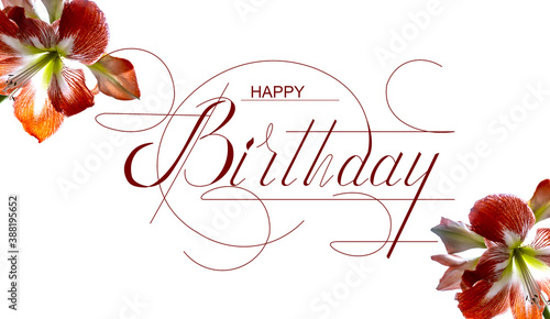 postcard , Internet banner , flat lay with a birthday greeting, with the inscription - happy birthday