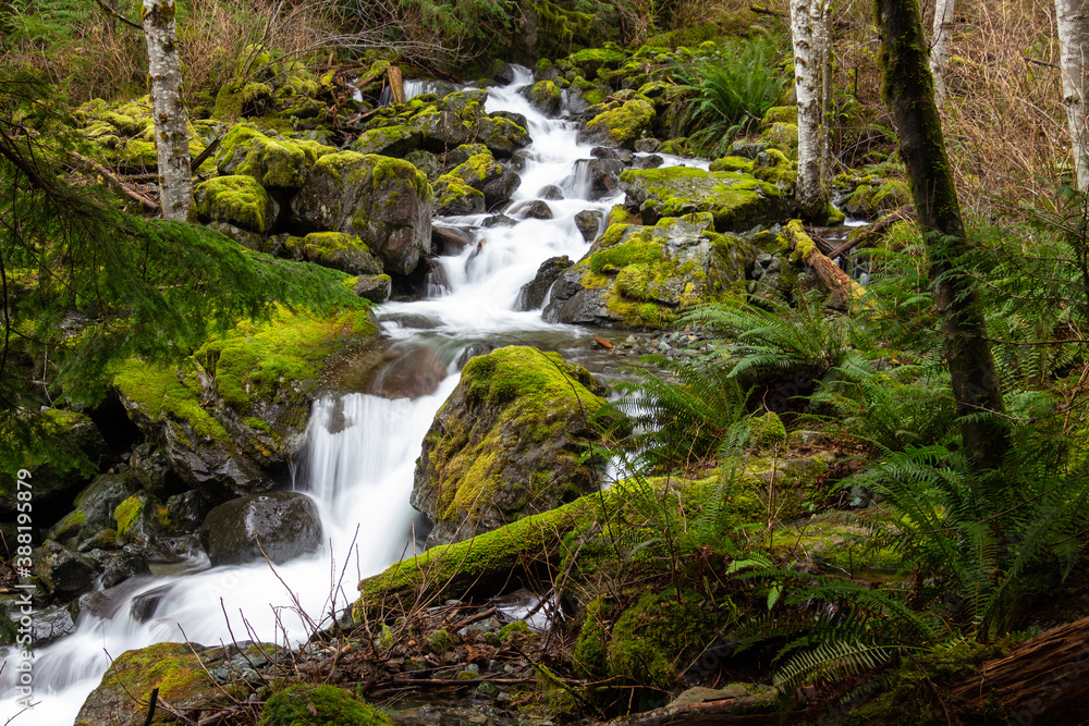 waterfall in the woods