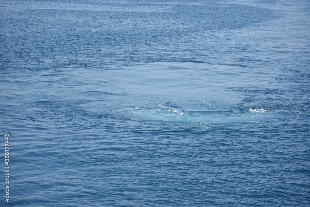 Obraz premium Boat trip on a clear and Sunny day